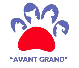 Avant Grand